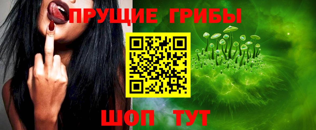 Псилоцибиновые грибы прущие грибы  Вход с VPN  Энгельс  Псилоцибиновые грибы Psilocybine cubensis 